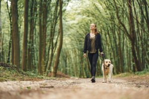 One Health: de verbinding tussen diergezondheid en humane gezondheid