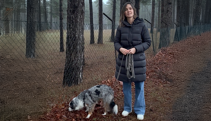 Wandelen in de winter: zó hou je het aangenaam én veilig voor je hond!
Nele Houbrechts, gedragsdierenarts